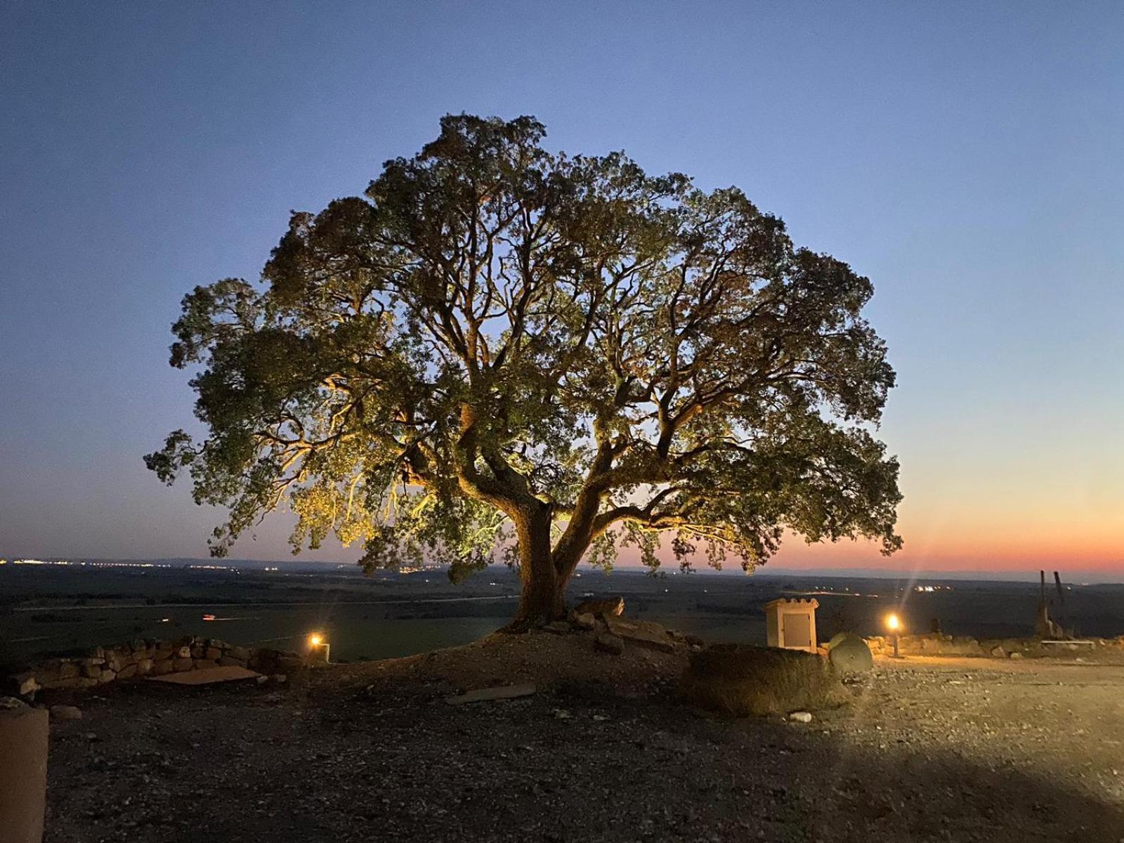 Masia De Queralt Luxury Casa Rural Spa Y Vistas Concabella エクステリア 写真