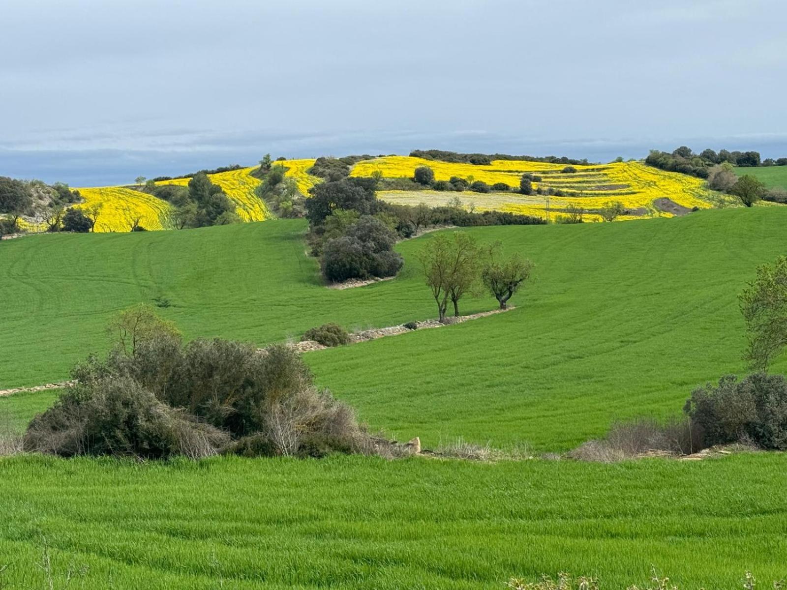 Masia De Queralt Luxury Casa Rural Spa Y Vistas Concabella エクステリア 写真
