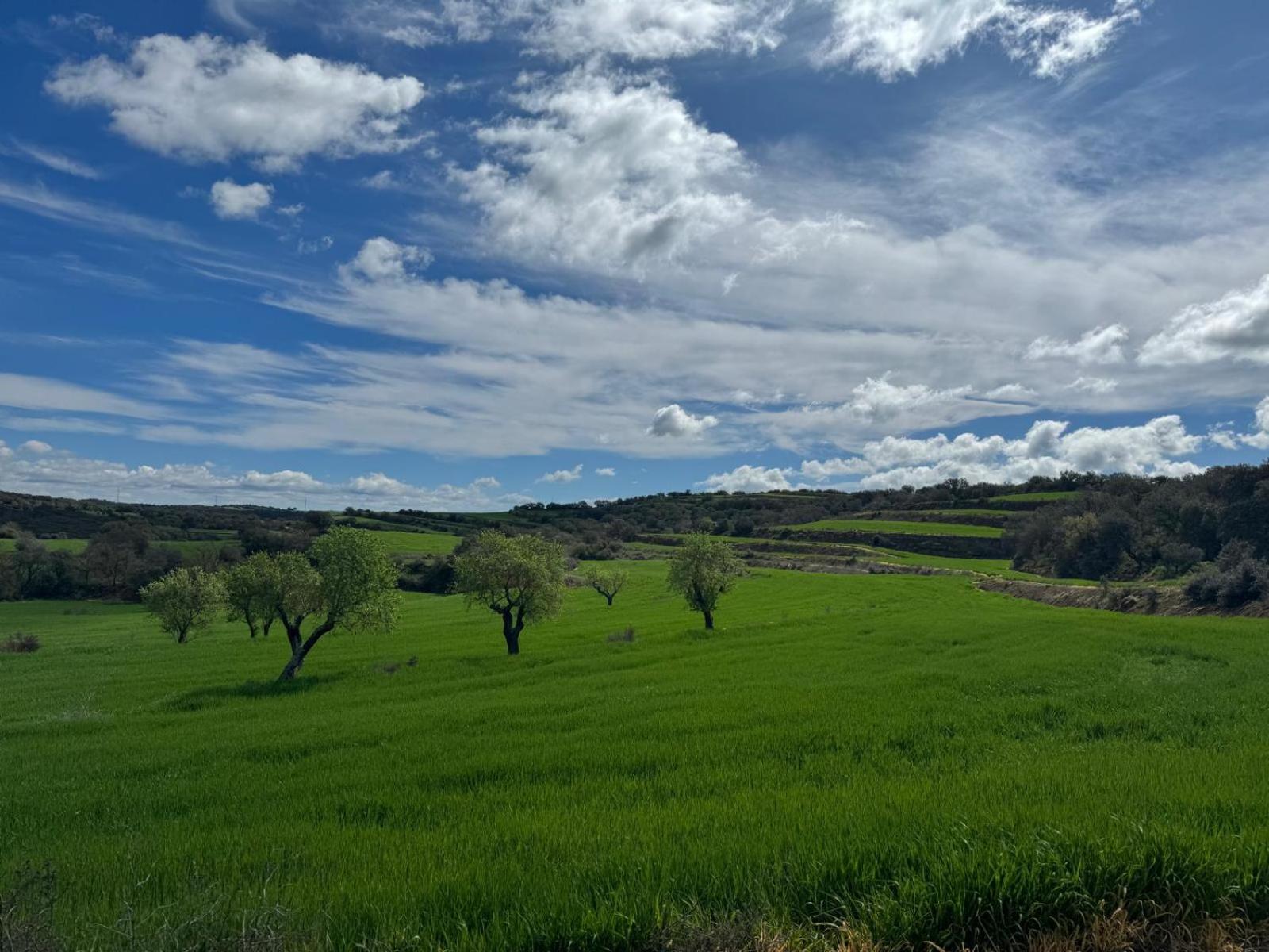 Masia De Queralt Luxury Casa Rural Spa Y Vistas Concabella エクステリア 写真